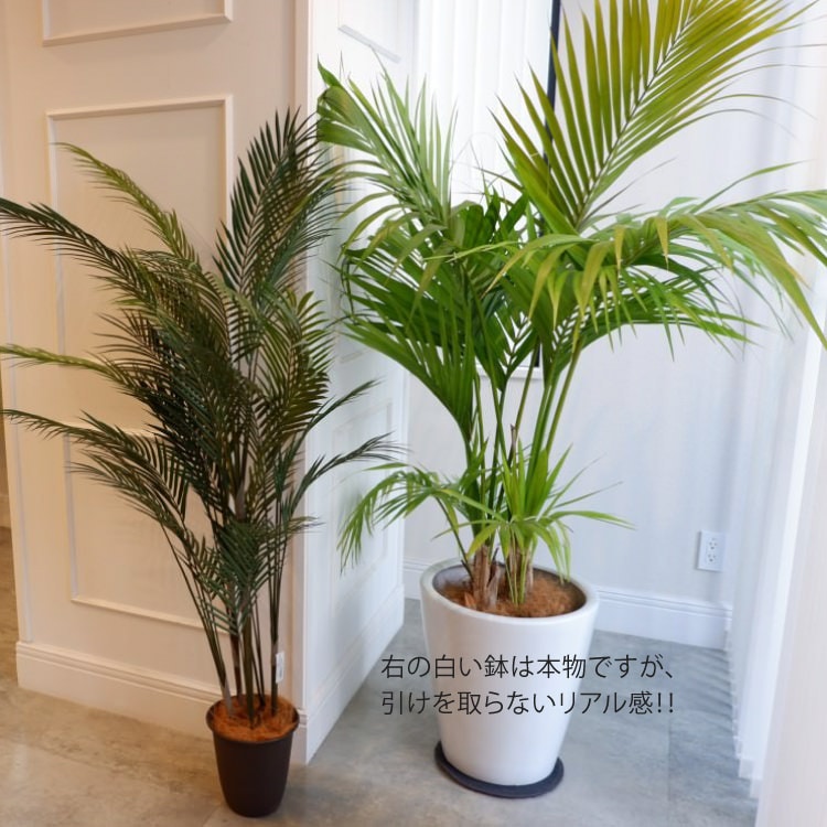 アレカヤシ 150cm｜GLP-1534 アーティフィシャルグリーン 人工観葉植物 鉢付きグリーン