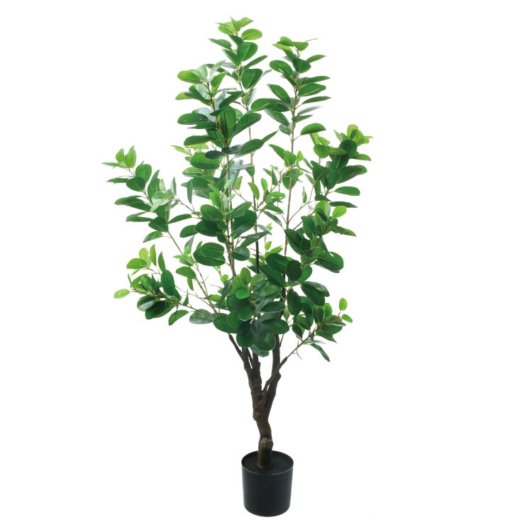 アポロゴム 115cm｜GLP-1537 アーティフィシャルグリーン 人工観葉植物 鉢付きグリーン