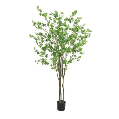 210cmドウダン｜GLP-1538 アーティフィシャルグリーン 人工観葉植物 鉢付きグリーン