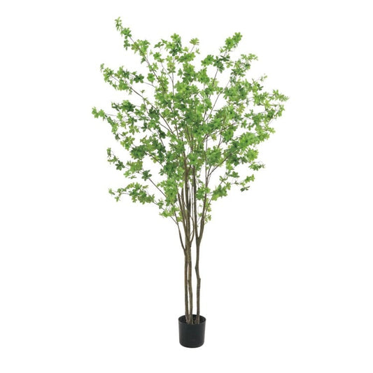 210cmドウダン｜GLP-1538 アーティフィシャルグリーン 人工観葉植物 鉢付きグリーン