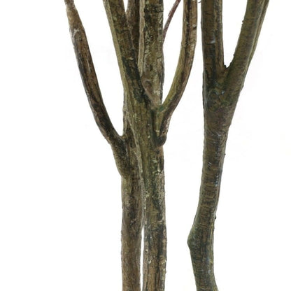 210cmドウダン｜GLP-1538 アーティフィシャルグリーン 人工観葉植物 鉢付きグリーン