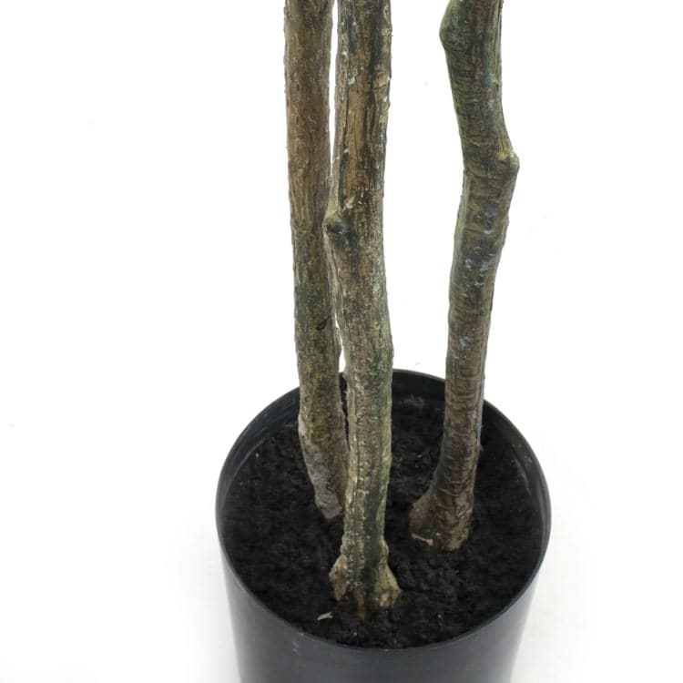210cmドウダン｜GLP-1538 アーティフィシャルグリーン 人工観葉植物 鉢付きグリーン