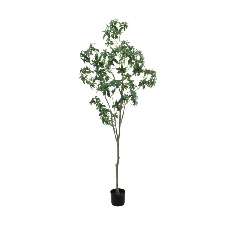 200cmツツジ｜GLP-1539 アーティフィシャルグリーン 人工観葉植物 鉢付きグリーン