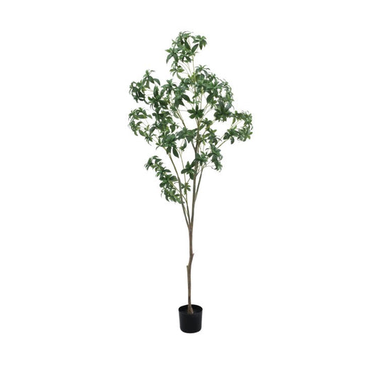 200cmツツジ｜GLP-1539 アーティフィシャルグリーン 人工観葉植物 鉢付きグリーン