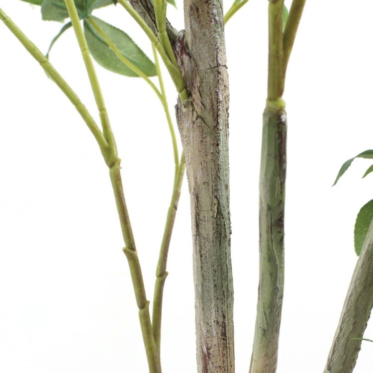 200cmツツジ｜GLP-1539 アーティフィシャルグリーン 人工観葉植物 鉢付きグリーン