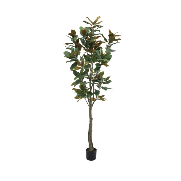 220cmマグノリアツリー｜GLP-1541 アーティフィシャルグリーン 人工観葉植物 鉢付きグリーン