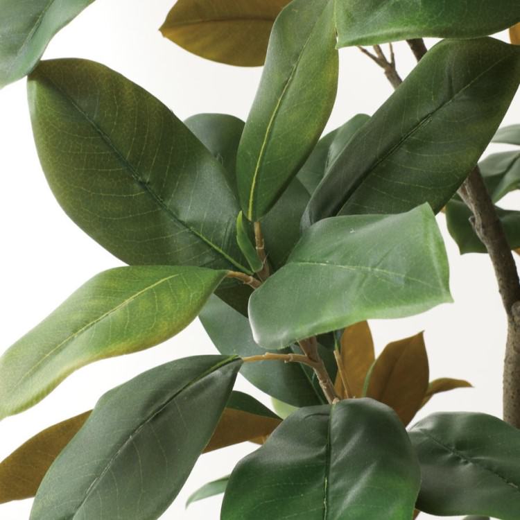 220cmマグノリアツリー｜GLP-1541 アーティフィシャルグリーン 人工観葉植物 鉢付きグリーン