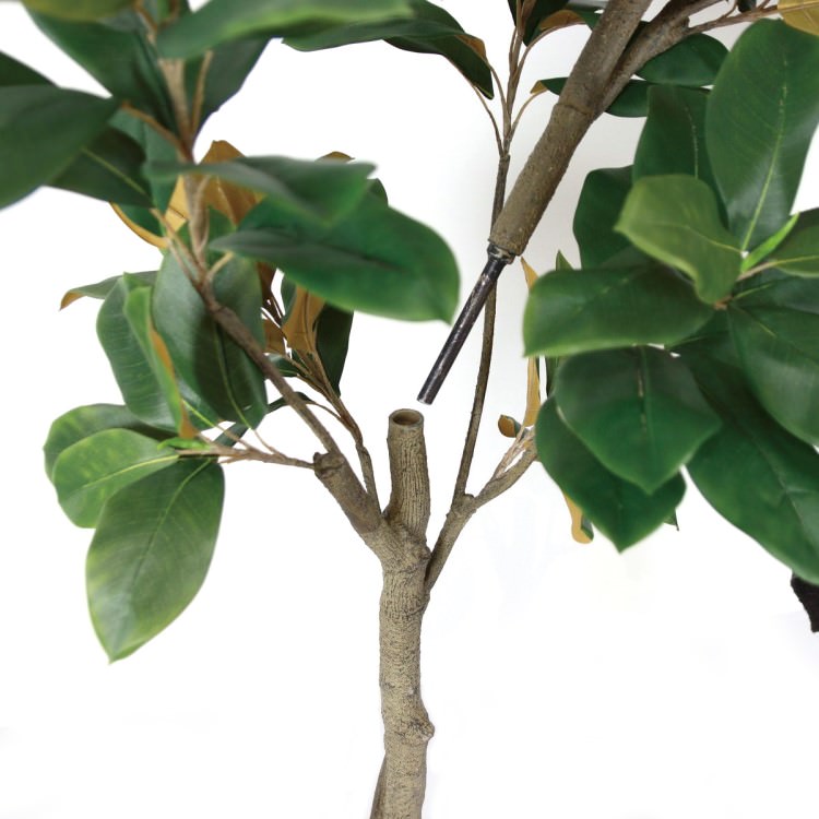 220cmマグノリアツリー｜GLP-1541 アーティフィシャルグリーン 人工観葉植物 鉢付きグリーン