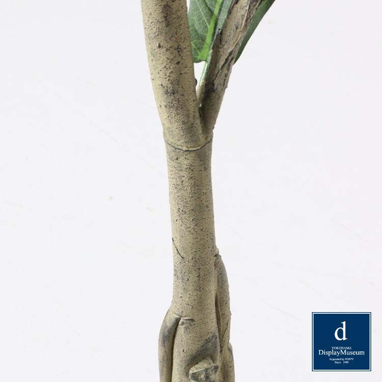 カシワバゴム 187cm｜GLP-1546 アーティフィシャルグリーン 人工観葉植物 鉢付きグリーン