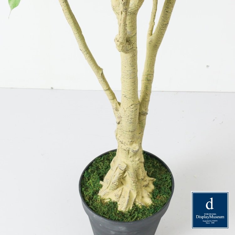 ベンジャミンフィカス 250cm｜GLP-1549 アーティフィシャルグリーン 人工観葉植物 鉢付きグリーン