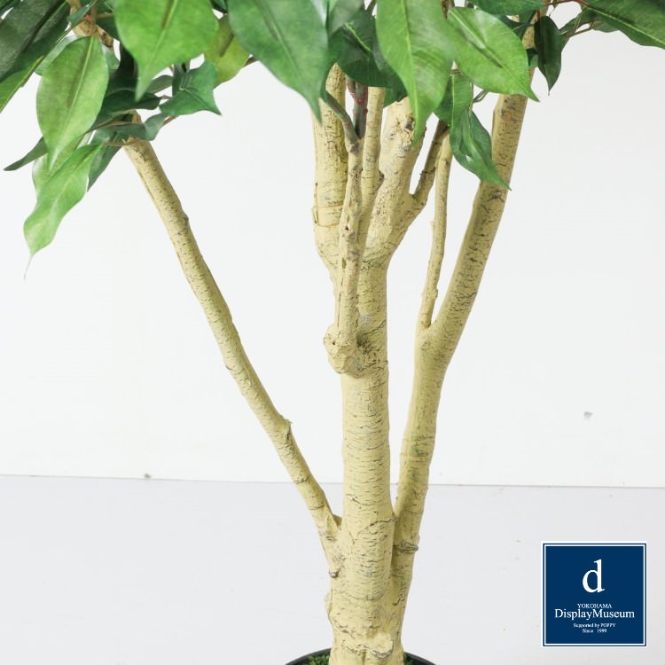 ベンジャミンフィカス 250cm｜GLP-1549 アーティフィシャルグリーン 人工観葉植物 鉢付きグリーン