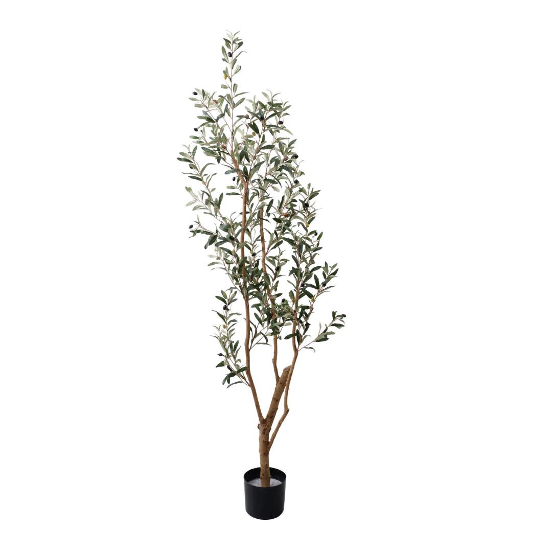 オリーブ 180cm｜GLP-1561 アーティフィシャルグリーン 人工観葉植物 グリーン