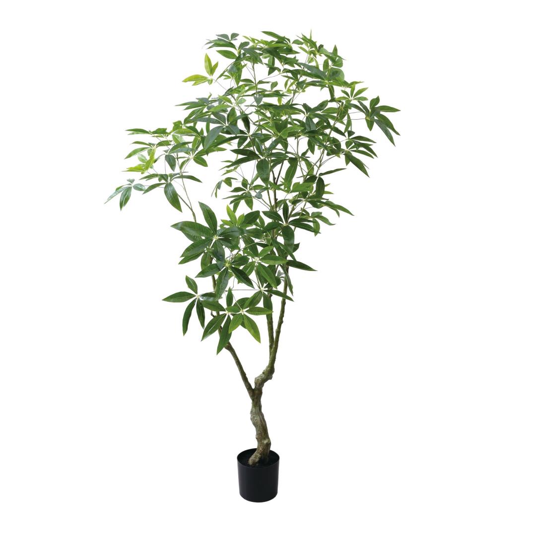 パキラツリー 210cm｜GLP-1567 アーティフィシャルグリーン 人工観葉植物 グリーン