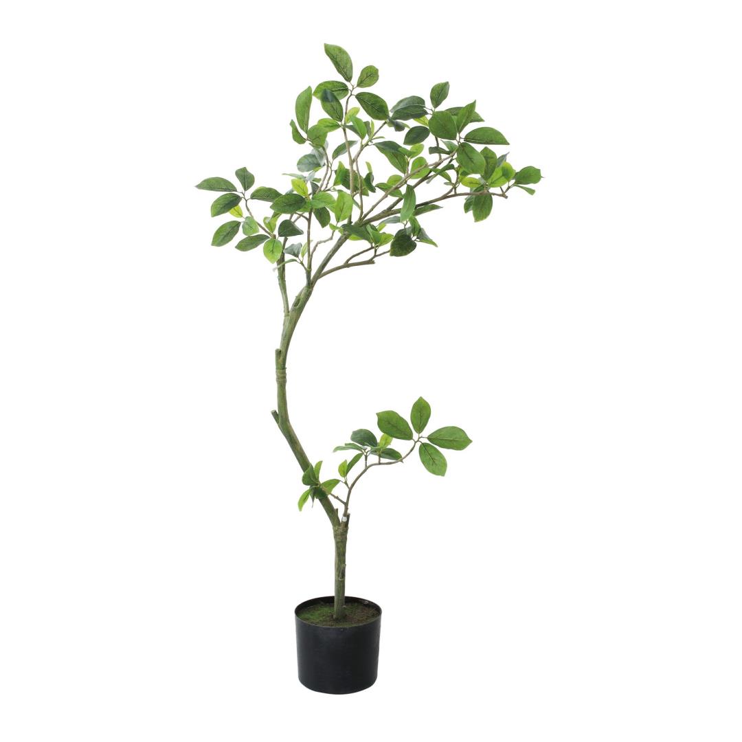 ガジュマル 110cm｜GLP-1574 アーティフィシャルグリーン 人工観葉植物 グリーン