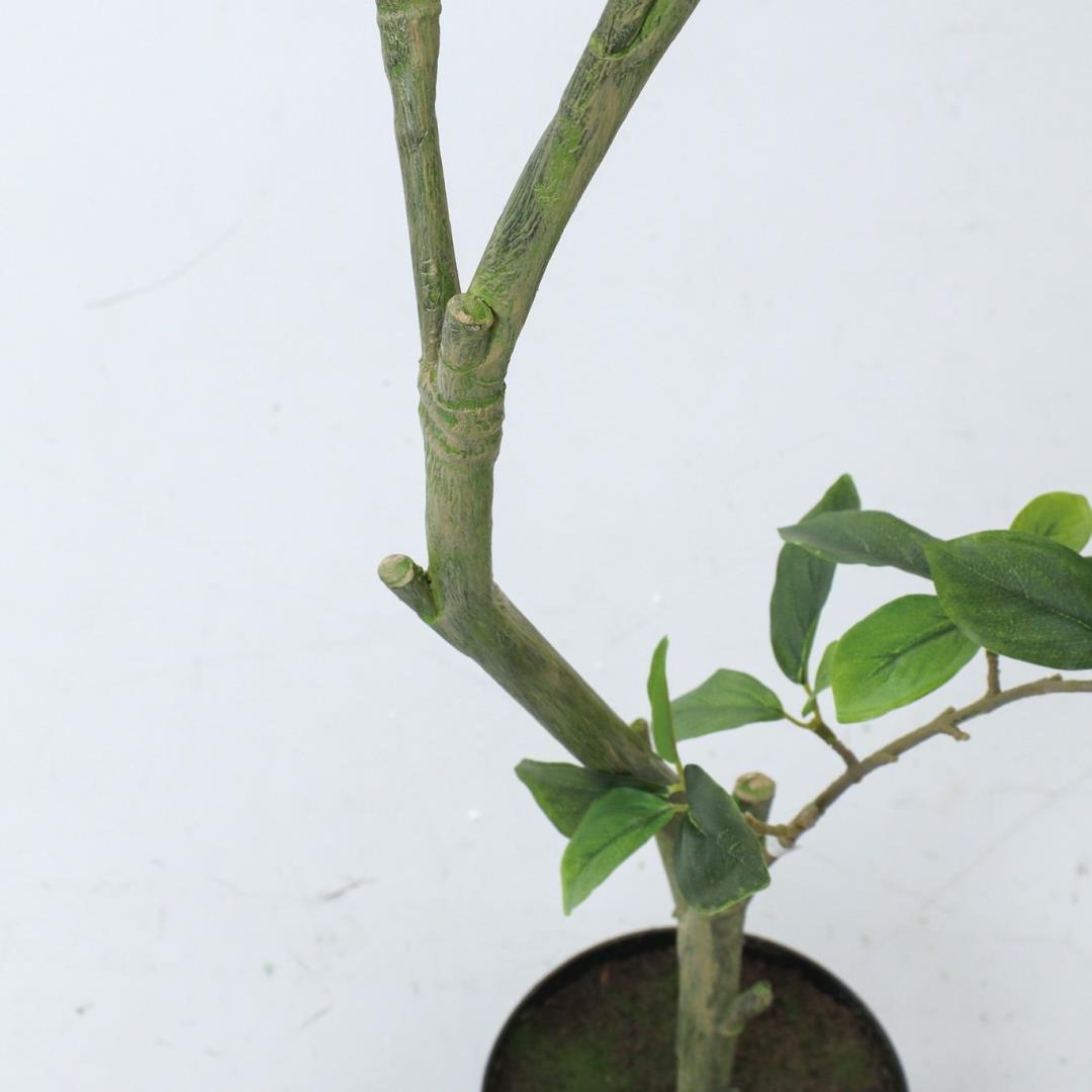 ガジュマル 110cm｜GLP-1574 アーティフィシャルグリーン 人工観葉植物 グリーン