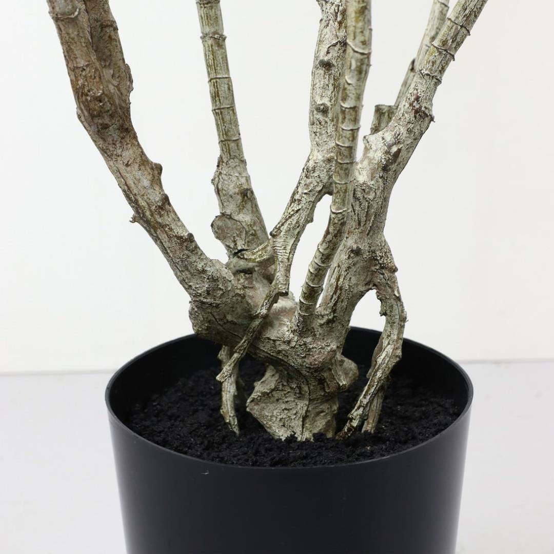 ドラセナポット 140cm｜GLP-1576 アーティフィシャルグリーン 人工観葉植物 グリーン
