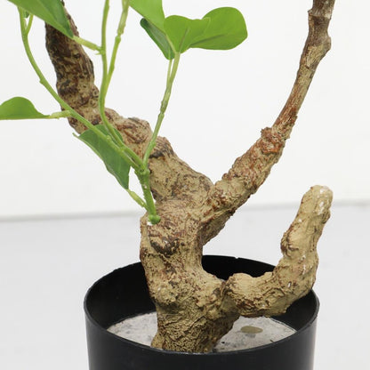 フィカストライアンギュラス 125cm｜GLP-1578 アーティフィシャルグリーン 人工観葉植物 グリーン