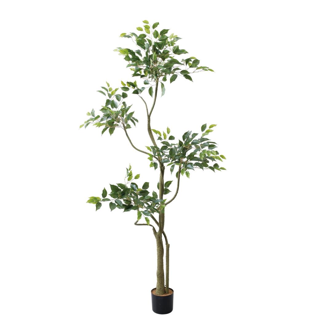 ベンジャミンツリー 180cm｜GLP-1580 アーティフィシャルグリーン 人工観葉植物 グリーン