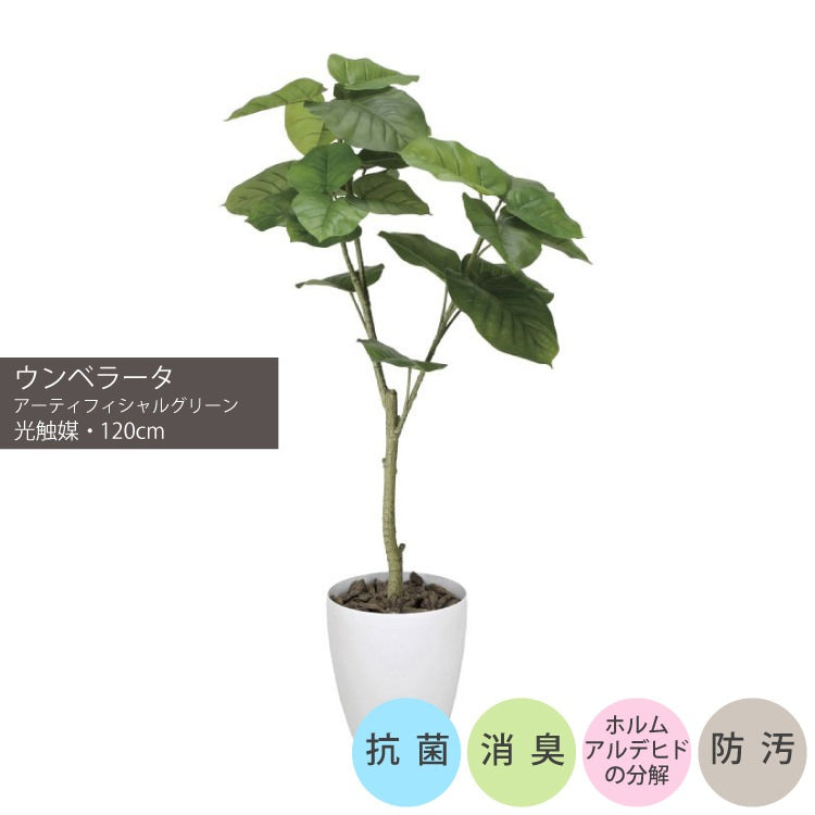 ウンベラータ1.2m｜GLPA-035 アーティフィシャルグリーン 人工観葉植物 鉢付きグリーン 可視光応答型光触媒「V-CAT Tree」