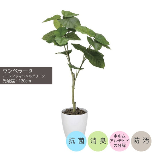 ウンベラータ1.2m｜GLPA-035 アーティフィシャルグリーン 人工観葉植物 鉢付きグリーン 可視光応答型光触媒「V-CAT Tree」