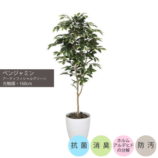 ベンジャミン1.6m｜GLPA-038 アーティフィシャルグリーン 人工観葉植物 鉢付きグリーン 可視光応答型光触媒「V-CAT Tree」