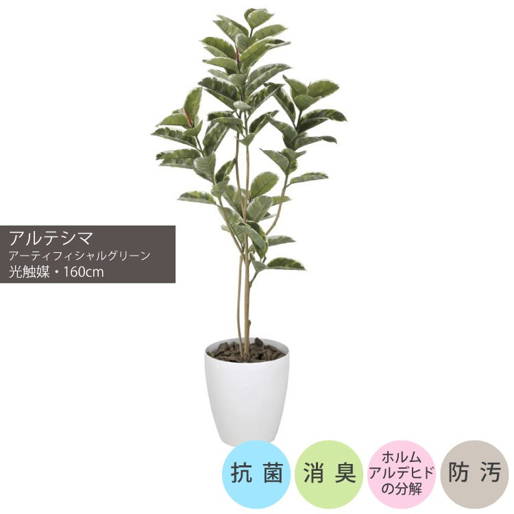 アルテシマ1.6m｜GLPA-042 アーティフィシャルグリーン 人工観葉植物 鉢付きグリーン 可視光応答型光触媒「V-CAT Tree」