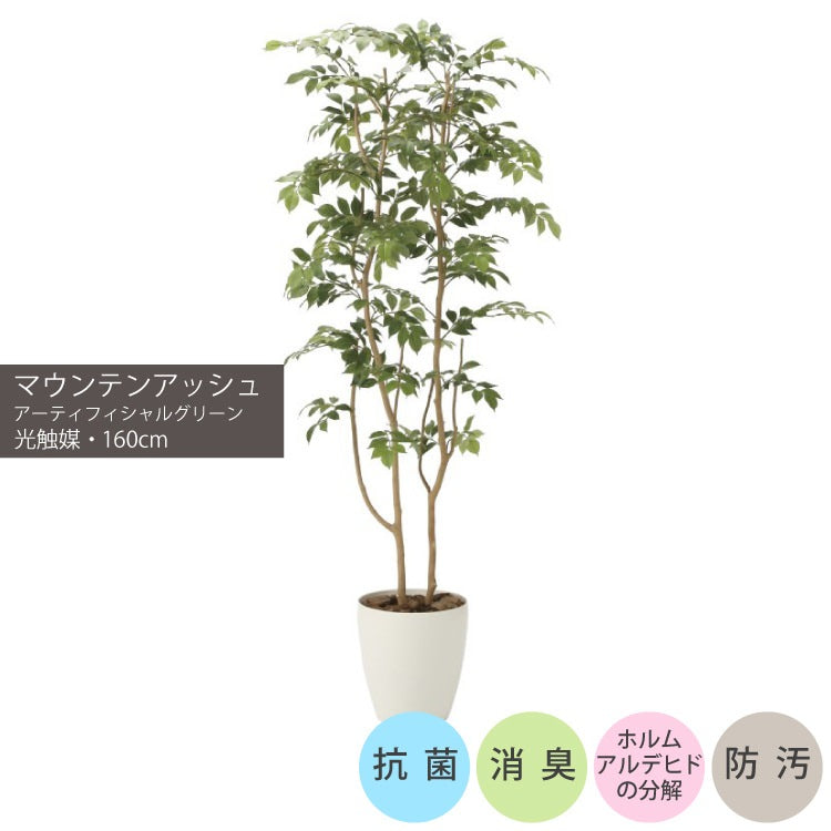 マウンテンアッシュ1.6m｜GLPA-043 アーティフィシャルグリーン 人工観葉植物 鉢付きグリーン 可視光応答型光触媒「V-CAT Tree」