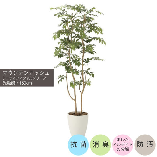 マウンテンアッシュ1.6m｜GLPA-043 アーティフィシャルグリーン 人工観葉植物 鉢付きグリーン 可視光応答型光触媒「V-CAT Tree」