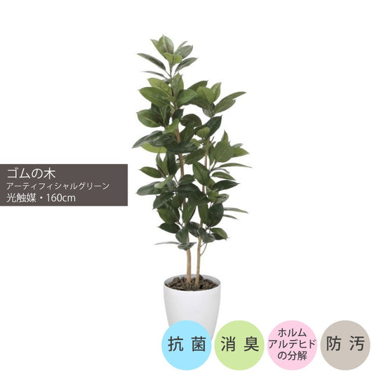 ゴムの木1.6m｜GLPA-047 アーティフィシャルグリーン 人工観葉植物 鉢付きグリーン 可視光応答型光触媒「V-CAT Tree」