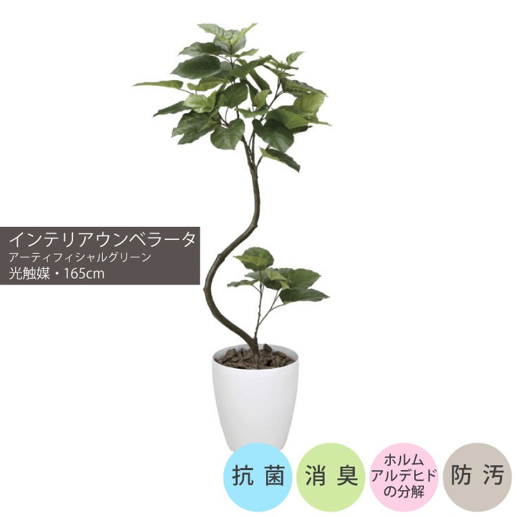インテリアウンベラータ1.65m｜GLPA-048 アーティフィシャルグリーン 人工観葉植物 鉢付きグリーン 可視光応答型光触媒「V-CAT Tree」