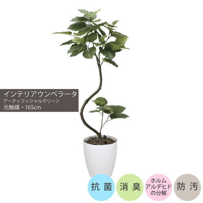 インテリアウンベラータ1.65m｜GLPA-048 アーティフィシャルグリーン 人工観葉植物 鉢付きグリーン 可視光応答型光触媒「V-CAT Tree」