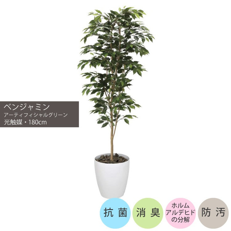 ベンジャミン1.8m｜GLPA-051 アーティフィシャルグリーン 人工観葉植物 鉢付きグリーン 可視光応答型光触媒「V-CAT Tree」