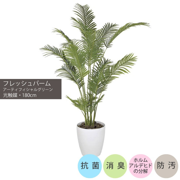 フレッシュパーム1.8m｜GLPA-059 アーティフィシャルグリーン 人工観葉植物 鉢付きグリーン 可視光応答型光触媒「V-CAT Tree」