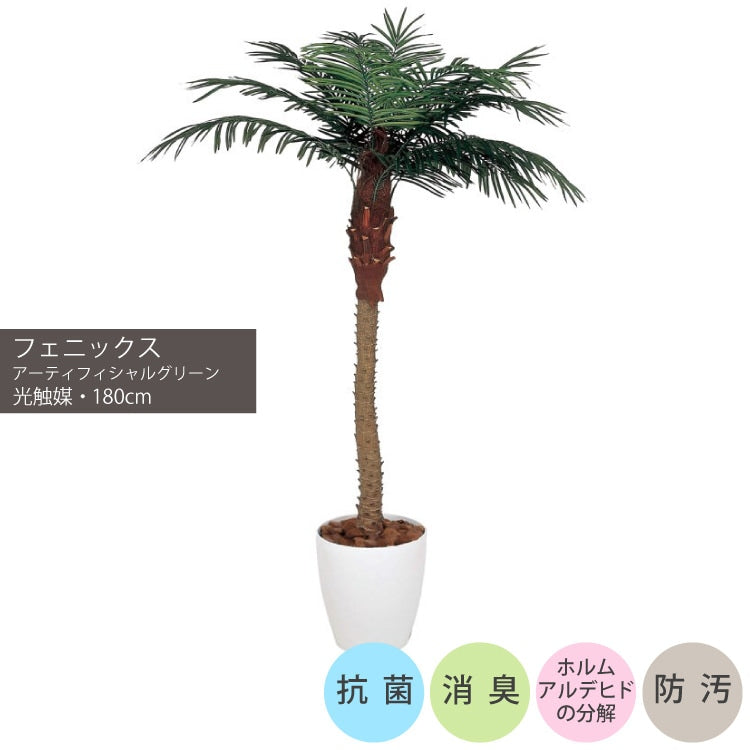 フェニックス 1.8m｜GLPA-060 アーティフィシャルグリーン 人工観葉植物 鉢付きグリーン 可視光応答型光触媒「V-CAT Tree」