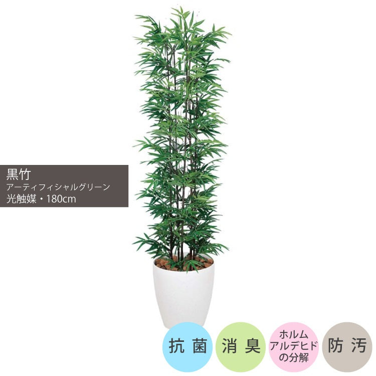 黒竹 1.8m｜GLPA-067 アーティフィシャルグリーン 人工観葉植物 鉢付きグリーン 可視光応答型光触媒「V-CAT Tree」