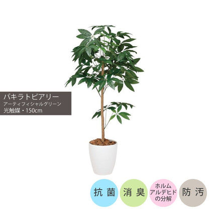 ショクバイパキラトピアリー1.5m｜GLPA-069 アーティフィシャルグリーン 人工観葉植物 鉢付きグリーン