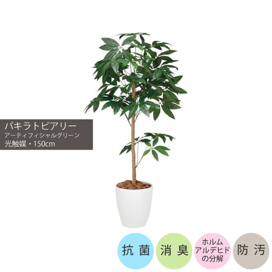 ショクバイパキラトピアリー1.5m｜GLPA-069 アーティフィシャルグリーン 人工観葉植物 鉢付きグリーン