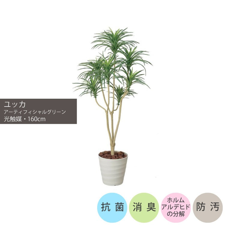 ショクバイユッカ1.6m｜GLPA-070 アーティフィシャルグリーン 人工観葉植物 鉢付きグリーン