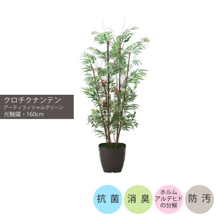 ショクバイクロチクナンテン1.6m｜GLPA-077 アーティフィシャルグリーン 人工観葉植物 鉢付きグリーン
