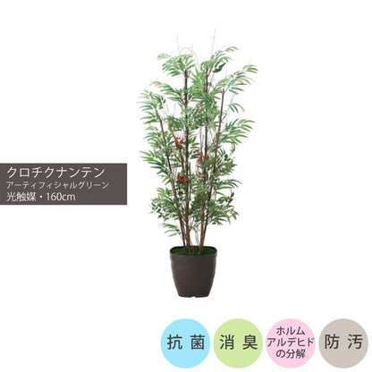 ショクバイクロチクナンテン1.6m｜GLPA-077 アーティフィシャルグリーン 人工観葉植物 鉢付きグリーン