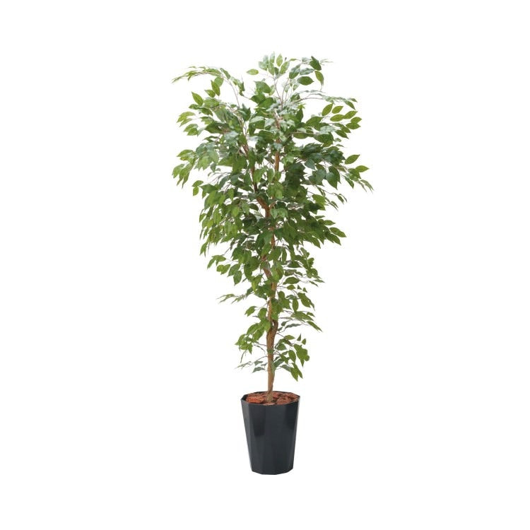 180cmベンジャミンフィカスツリー(ポットカラー:ブラック)｜GLPS-1290BKL アーティフィシャルグリーン 人工観葉植物 鉢付きグリーン