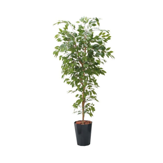 180cmベンジャミンフィカスツリー(ポットカラー:ブラック)｜GLPS-1290BKL アーティフィシャルグリーン 人工観葉植物 鉢付きグリーン