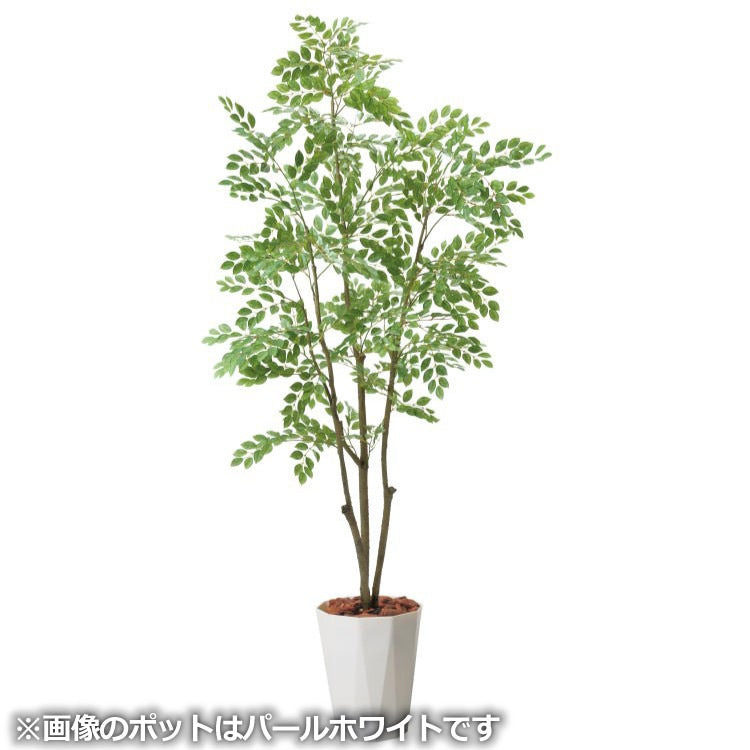 180cmトネリコポット｜GLPS-1497BKL アーティフィシャルグリーン 人工観葉植物 鉢付きグリーン