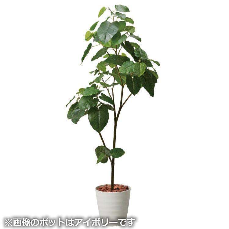 180cmウンベラータポット｜GLPS-1512PWL アーティフィシャルグリーン 人工観葉植物 鉢付きグリーン