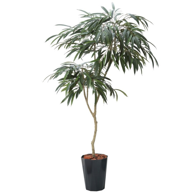 180cmショウナンゴムポット｜GLPS-1516BKL アーティフィシャルグリーン 人工観葉植物 鉢付きグリーン