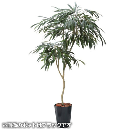 180cmショウナンゴムポット｜GLPS-1516BRL アーティフィシャルグリーン 人工観葉植物 鉢付きグリーン