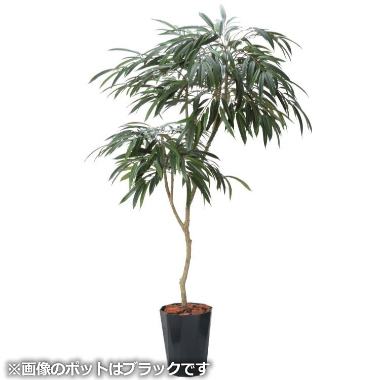 180cmショウナンゴムポット｜GLPS-1516IVL アーティフィシャルグリーン 人工観葉植物 鉢付きグリーン