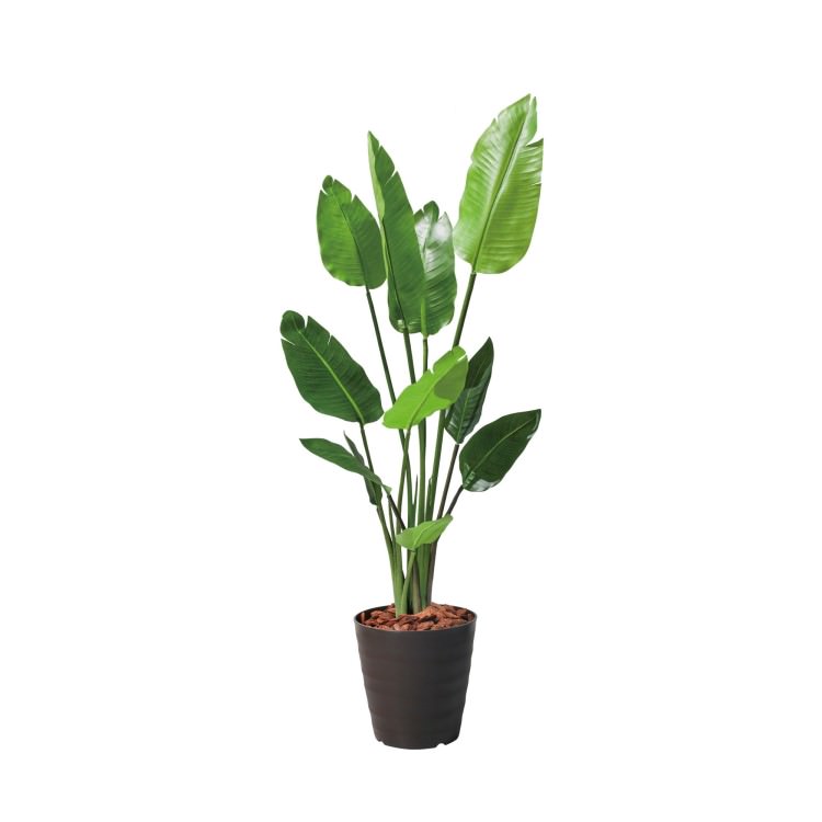 120cmオーガスタ(ポットカラー:ブラウン)｜GLPS-1520BRL アーティフィシャルグリーン 人工観葉植物 鉢付きグリーン