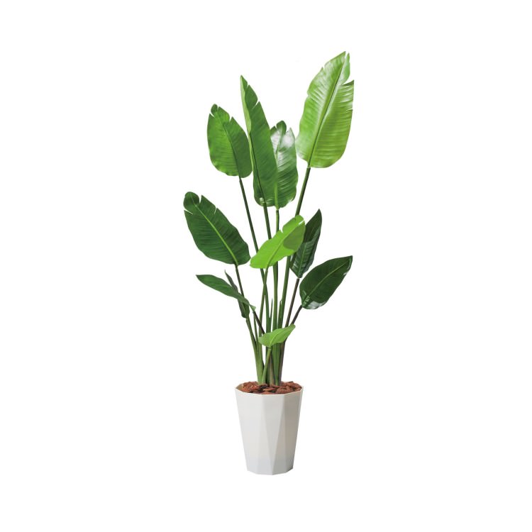 120cmオーガスタ(ポットカラー:パールホワイト)｜GLPS-1520PWL アーティフィシャルグリーン 人工観葉植物 鉢付きグリーン