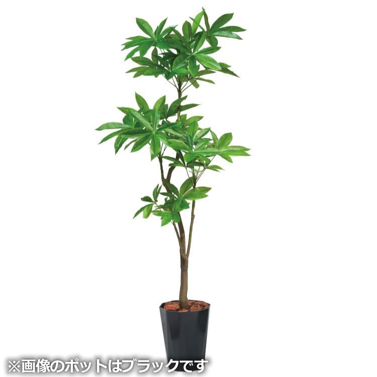 180cmパキラポット｜GLPS-1522BKL アーティフィシャルグリーン 人工観葉植物 鉢付きグリーン